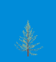 greenshift tree