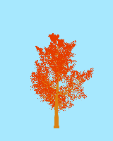 greenshift tree