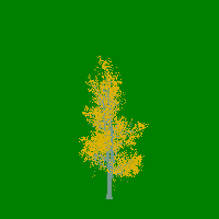 greenshift tree