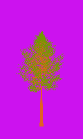greenshift tree