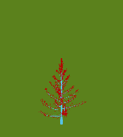 greenshift tree