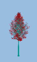 greenshift tree