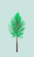 greenshift tree