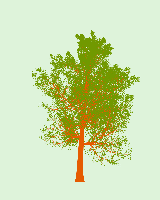 greenshift tree