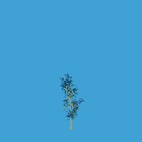 greenshift tree