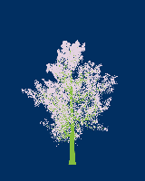 greenshift tree