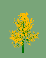greenshift tree