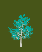 greenshift tree