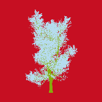 greenshift tree