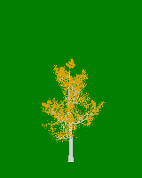 greenshift tree