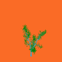 greenshift tree
