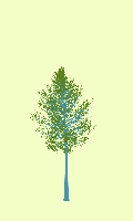 greenshift tree