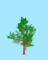 greenshift tree