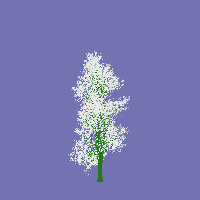 greenshift tree
