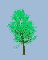 greenshift tree