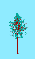 greenshift tree
