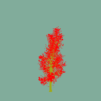 greenshift tree