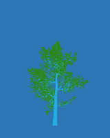 greenshift tree