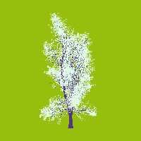greenshift tree
