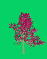greenshift tree