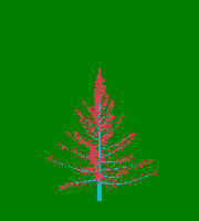 greenshift tree