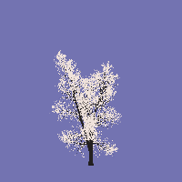 greenshift tree