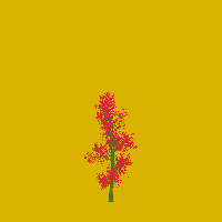 greenshift tree