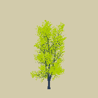 greenshift tree