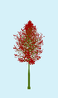 greenshift tree