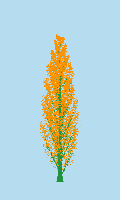 greenshift tree
