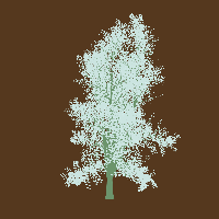 greenshift tree