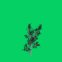 greenshift tree