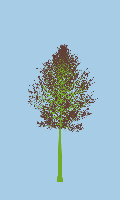greenshift tree
