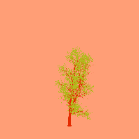 greenshift tree