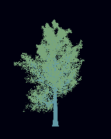greenshift tree