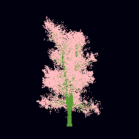 greenshift tree