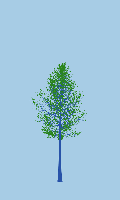 greenshift tree