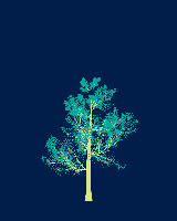 greenshift tree