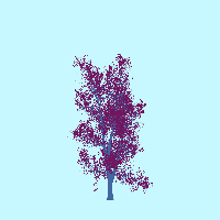 greenshift tree