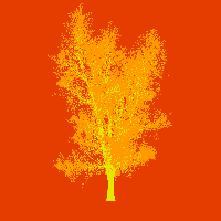 greenshift tree