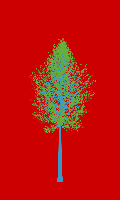 greenshift tree