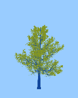greenshift tree