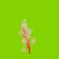 greenshift tree