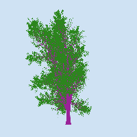 greenshift tree