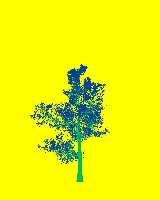 greenshift tree