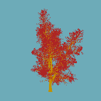 greenshift tree