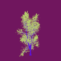 greenshift tree