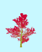 greenshift tree