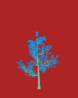 greenshift tree