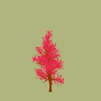greenshift tree
